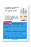 Apple oxidation science experiment worksheet with numbered steps, photos of apple slices in labeled jars, and an explanation of enzymatic browning showing how lemon juice, vinegar, saltwater, and plain water affect oxidation.